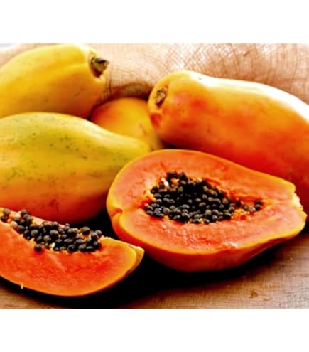 Amazon.com : Hawaiian Solo Papaya WAIMANALO X-77 Seeds (25